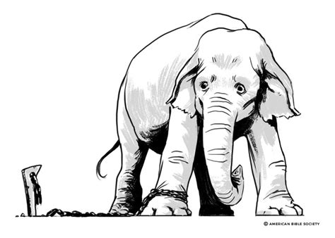 Elephant and the chain .